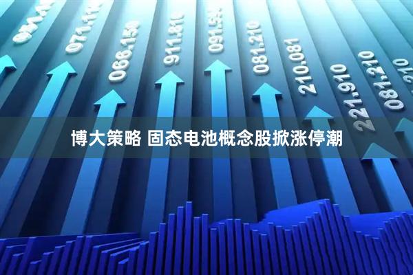 博大策略 固态电池概念股掀涨停潮