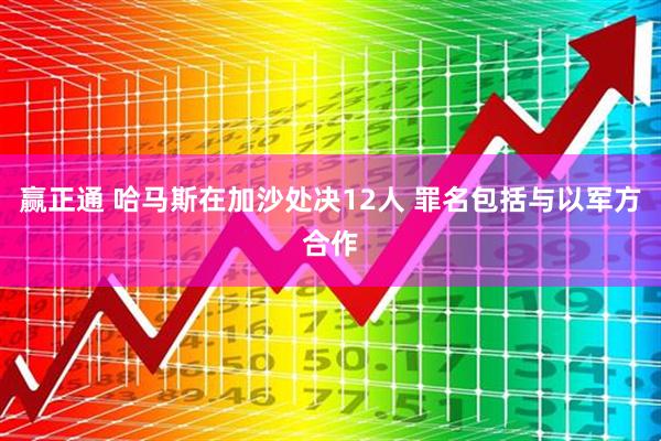 赢正通 哈马斯在加沙处决12人 罪名包括与以军方合作