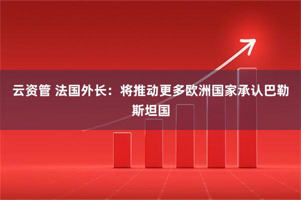 云资管 法国外长：将推动更多欧洲国家承认巴勒斯坦国