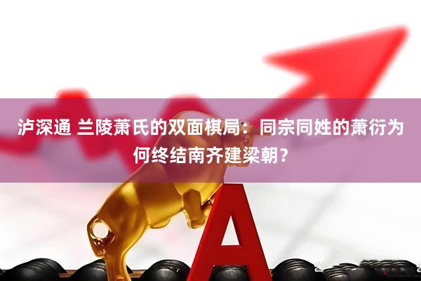 泸深通 兰陵萧氏的双面棋局：同宗同姓的萧衍为何终结南齐建梁朝？