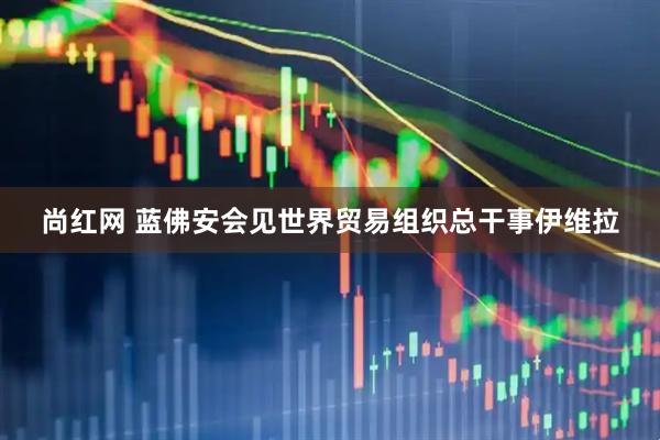 尚红网 蓝佛安会见世界贸易组织总干事伊维拉